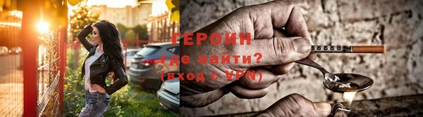 сатива Новодвинск
