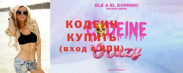 индика Бежецк