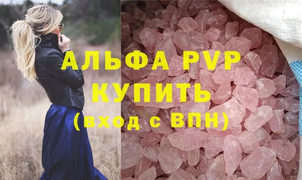 индика Бежецк