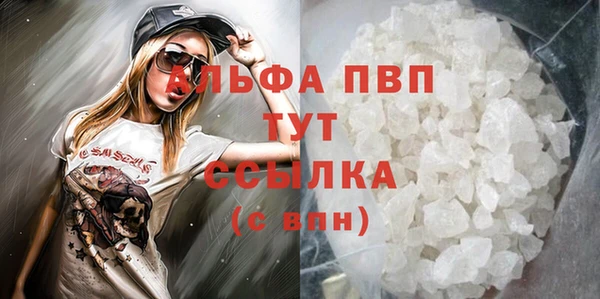 индика Бежецк