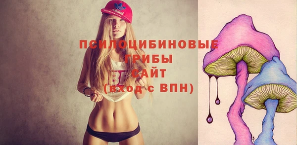 индика Бежецк