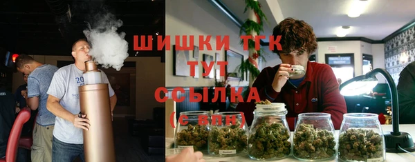 индика Бежецк