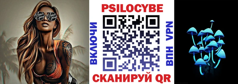 где найти наркотики Кодинск shop наркотические препараты Галлюциногенные грибы MAGIC MUSHROOMS