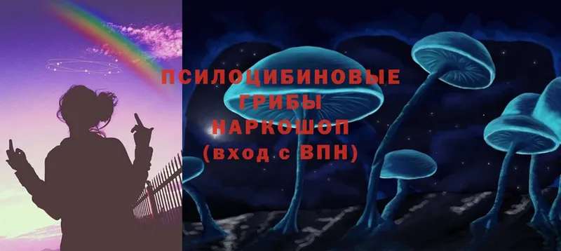 Галлюциногенные грибы MAGIC MUSHROOMS  Кодинск 